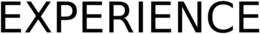 EXPERIENCE