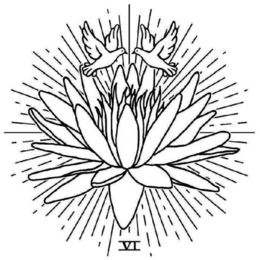 VI