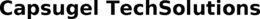 CAPSUGEL TECHSOLUTIONS
