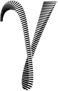 79442839