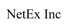 NETEX INC