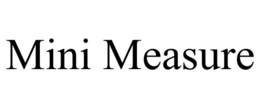 MINI MEASURE