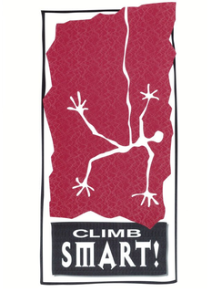 CLIMB SMART!