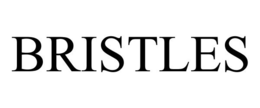 BRISTLES