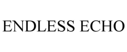 ENDLESS ECHO