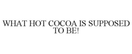 WHAT HOT COCOA IS SUPPOSED TO BE!