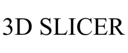 3D SLICER
