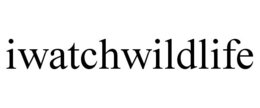 IWATCHWILDLIFE
