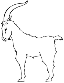 85416886