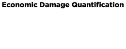 ECONOMIC DAMAGE QUANTIFICATION