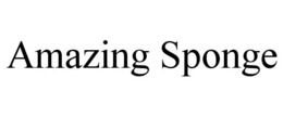AMAZING SPONGE