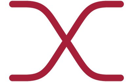 X