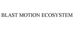 BLAST MOTION ECOSYSTEM