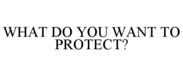 WHAT DO YOU WANT TO PROTECT?