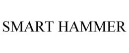 SMART HAMMER