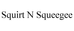 SQUIRT N SQUEEGEE