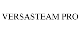 VERSASTEAM PRO