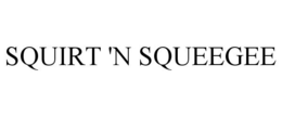 SQUIRT 'N SQUEEGEE