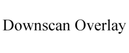 DOWNSCAN OVERLAY