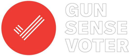 GUN SENSE VOTER
