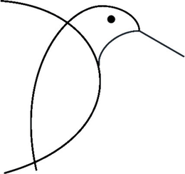 86288199