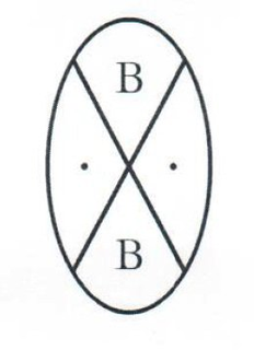 B B