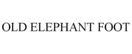 OLD ELEPHANT FOOT
