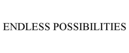 ENDLESS POSSIBILITIES