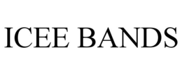 ICEE BANDS