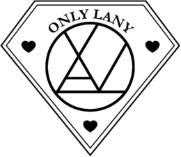 ONLY LANY