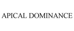 APICAL DOMINANCE