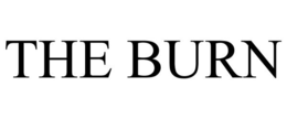 THE BURN