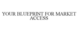 YOUR BLUEPRINT FOR MARKET ACCESS