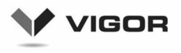 THE LETTER V AND THE WORD VIGOR