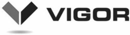 V VIGOR
