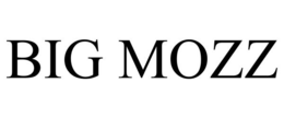 BIG MOZZ