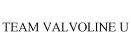 TEAM VALVOLINE U