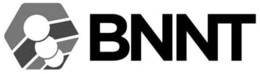 BNNT