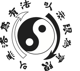 86945568