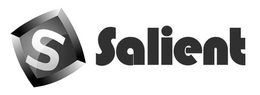 S SALIENT
