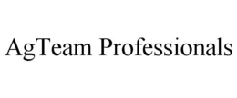 AGTEAM PROFESSIONALS