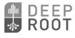 DEEP ROOT