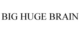 BIG HUGE BRAIN