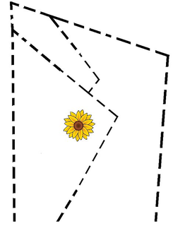 87272487
