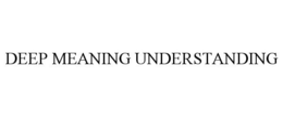 DEEP MEANING UNDERSTANDING