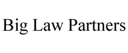 BIG LAW PARTNERS