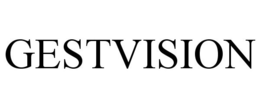 GESTVISION