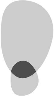 87305812