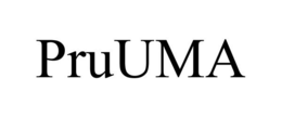 PRUUMA