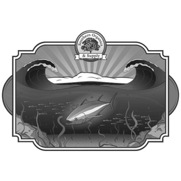 SOUTHERN ORGANICS & SUPPLY S O